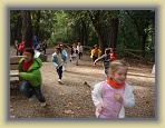 Collserola P5 049 * 640 x 480 * (151KB)